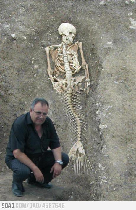 Fake mermaid skeleton
